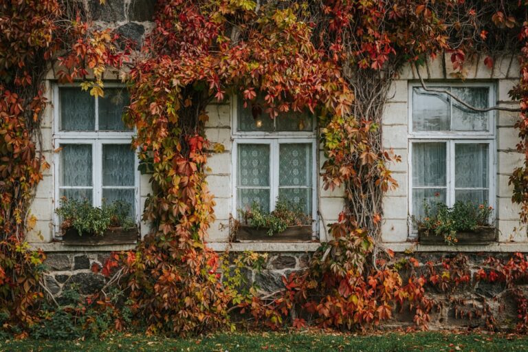 Voorkom verwarring: Het juiste verhaal achter +31 55 543 47 07